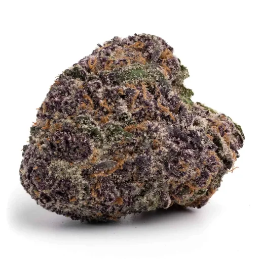 Weed in Dubai – Everything You Need to Know Before You Buy
